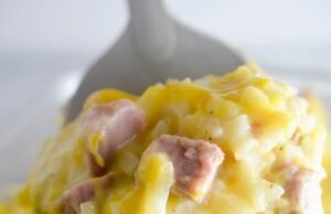 Weight Watchers Hash Brown Casserole with Ham