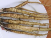 Discover the Benefits of Greater Burdock Root: A Plant That Supports Your Health