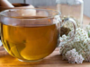 Yarrow: An Ancient Healing Herb with Powerful Health Benefits