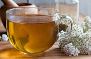 Yarrow: An Ancient Healing Herb with Powerful Health Benefits