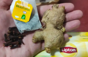 Unlocking the Health Benefits of Cloves, Ginger, and Lipton Tea
