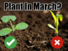 Top 10 Vegetables to Plant in March