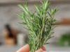 12 brilliant ways to use Rosemary around Home and Garden