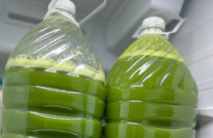 Kale, cucumber, celery, green apple, ginger & lemon – a nutrient-packed juice combo