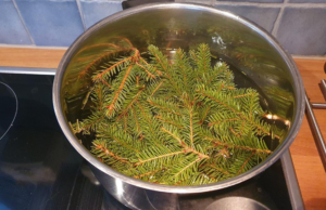 Drink Your Christmas Tree: Creative Ways to Repurpose Your Holiday Evergreen