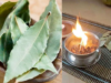 Unlock the Power of Bay Leaves: 6 Surprising Benefits of Burning Them