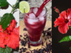 Unlock the Power of Hibiscus: Benefits and How to Use It at Home