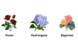 Why Coffee Grounds Are Garden Gold: 12 Plants That Benefit the Most