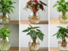 13 Gorgeous Indoor Plants You Can Easily Grow in Water