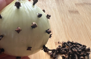 Cloves and Onion: The Powerful Combo for Modern Health Benefits